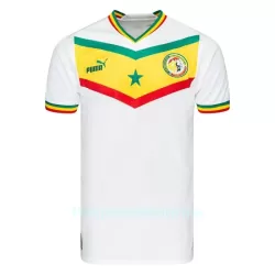 Senegal Pelipaita Miesten Koti MM-Kisat 2022