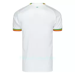Senegal Pelipaita Miesten Koti MM-Kisat 2022