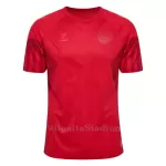 Tanska Pelipaita Miesten Koti MM-Kisat 2022