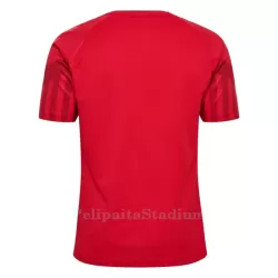 Tanska Pelipaita Miesten Koti MM-Kisat 2022