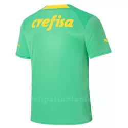 Palmeiras Pelipaita Miesten Kolmas 2022-23
