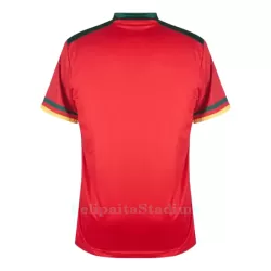 Kamerun Pelipaita Miesten Kolmas MM-Kisat 2022