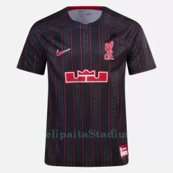 Liverpool X Lebron James Nike Miesten Treenipuvut 2023 Liverpool X Lebron James Nike Miesten Treenipuvut 2023