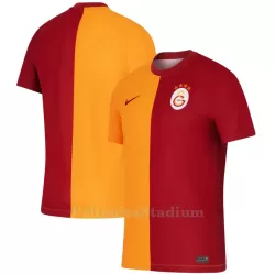 Galatasaray Pelipaita Miesten Koti 2023-2024 Galatasaray Pelipaita Miesten Koti 2023-2024
