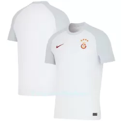 Galatasaray Pelipaita Miesten Vieras 2023-2024 Galatasaray Pelipaita Miesten Vieras 2023-2024