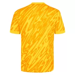 Tottenham Hotspur Maalivahdin Pelipaita Miesten 2024-2025 Keltainen