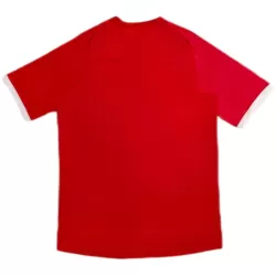 Englanti 2010 Pelipaita Retro Miesten Vieras