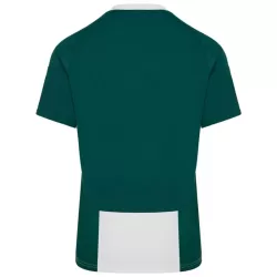 Panathinaikos FC Pelipaita Miesten Koti 2024-2025