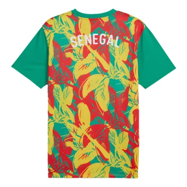 Senegal Pre-Match Pelipaita Miesten 2024-2025