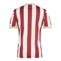 FC Nurnberg Pelipaita Miesten Vuosipäivä 2024-2025