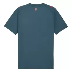 Shakhtar Donetsk Pelipaita Miesten Vieras 2025-26