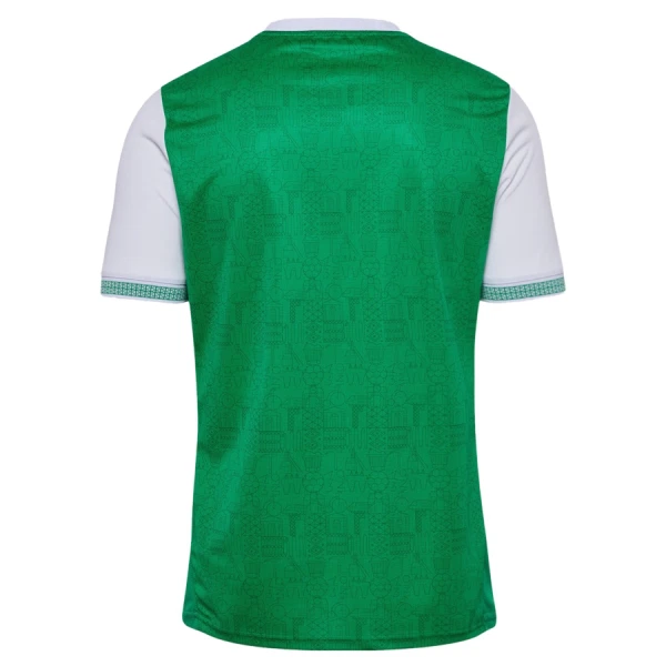 AS Saint-Étienne Pelipaita Miesten Koti 2025-26