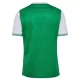 AS Saint-Étienne Pelipaita Miesten Koti 2025-26