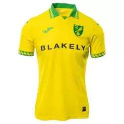 Norwich City Pelipaita Miesten Koti 2025-26 Norwich City Pelipaita Miesten Koti 2025-26
