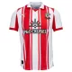 Southampton Pelipaita Miesten Koti 2025-26 Southampton Pelipaita Miesten Koti 2025-26