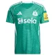 Newcastle United Pelipaita Miesten Vieras 2025-26 Newcastle United Pelipaita Miesten Vieras 2025-26