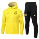 Borussia Dortmund Miesten Treenitakkihupparit 2025-26 Keltainen