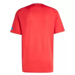 FC Nurnberg Pelipaita Miesten Kolmas 2025-26