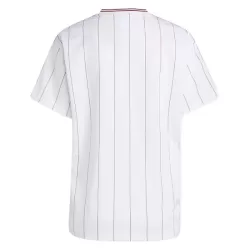 Aston Villa Terrace Icons Pelipaita Miesten 2025-26