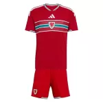 Wales Pelipaita Lasten Koti MM-Kisat 2026