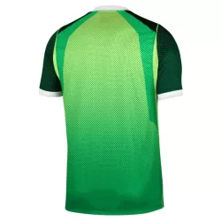 Nigeria Pelipaita Miesten Koti 2026-27
