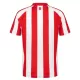 Sunderland Pelipaita Miesten Koti 2026-27