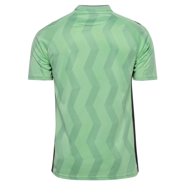 AS Saint-Étienne Pelipaita Miesten Kolmas 2026-27